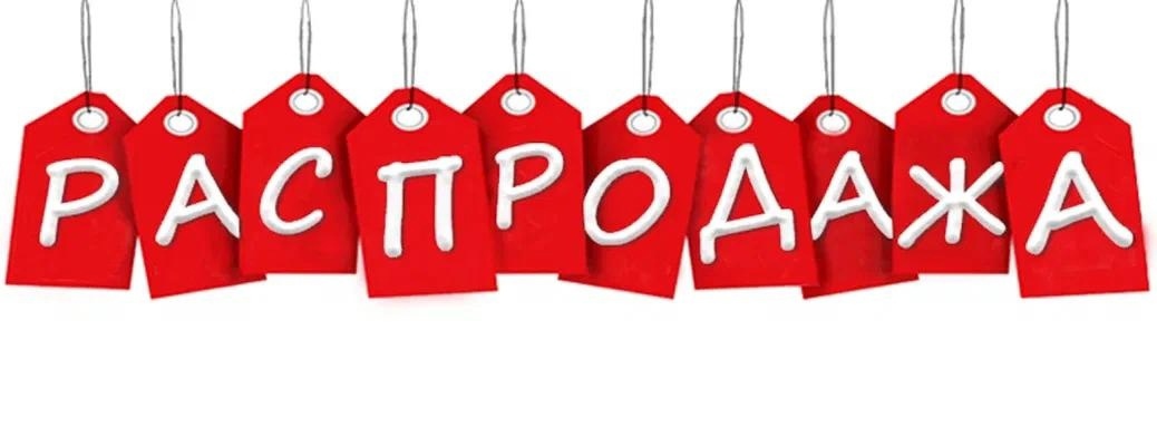 IMG-BLOG