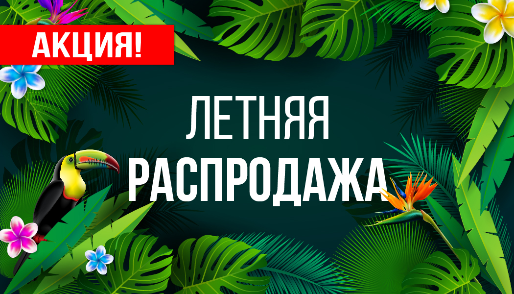 IMG-BLOG